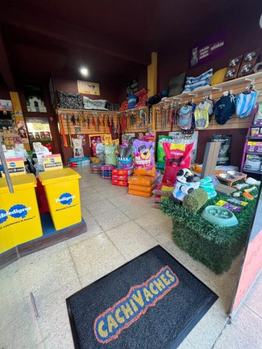 Cachivaches por dentro