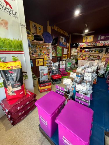 Cachivaches por dentro